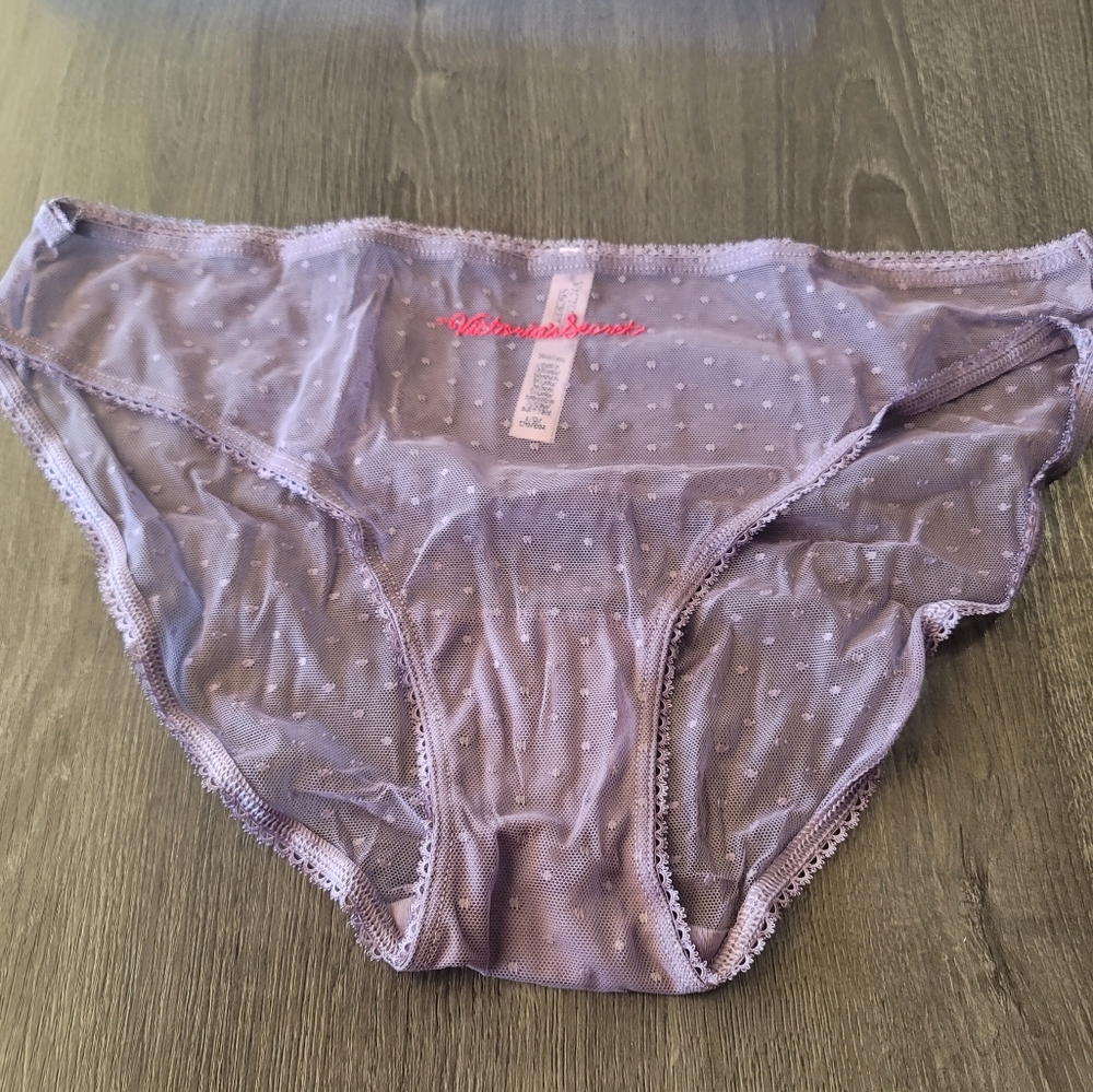 Victoria's secret stretch Mesh Abd Cotton Sheer bikini panty PURPLE LARGE